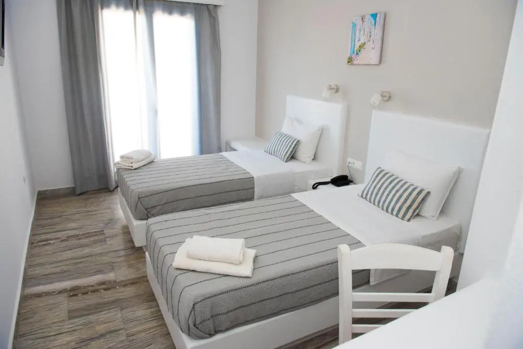 Executive Double room with garden view (twin beds)