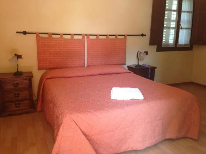 Airone Pisa Park Hotel - Chambres