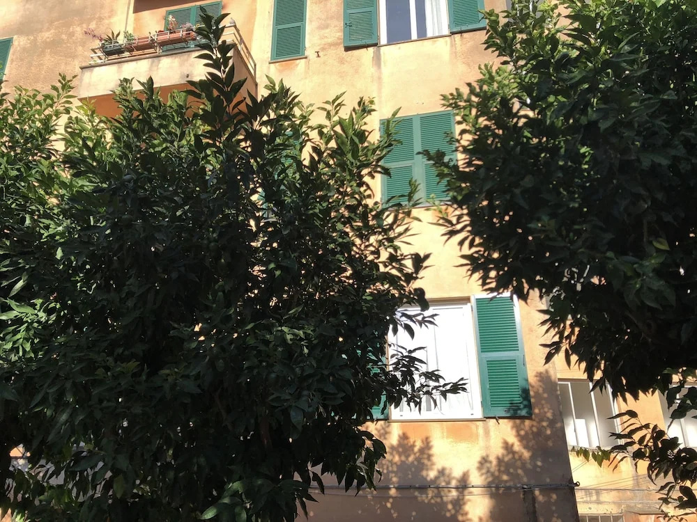 House Nervi