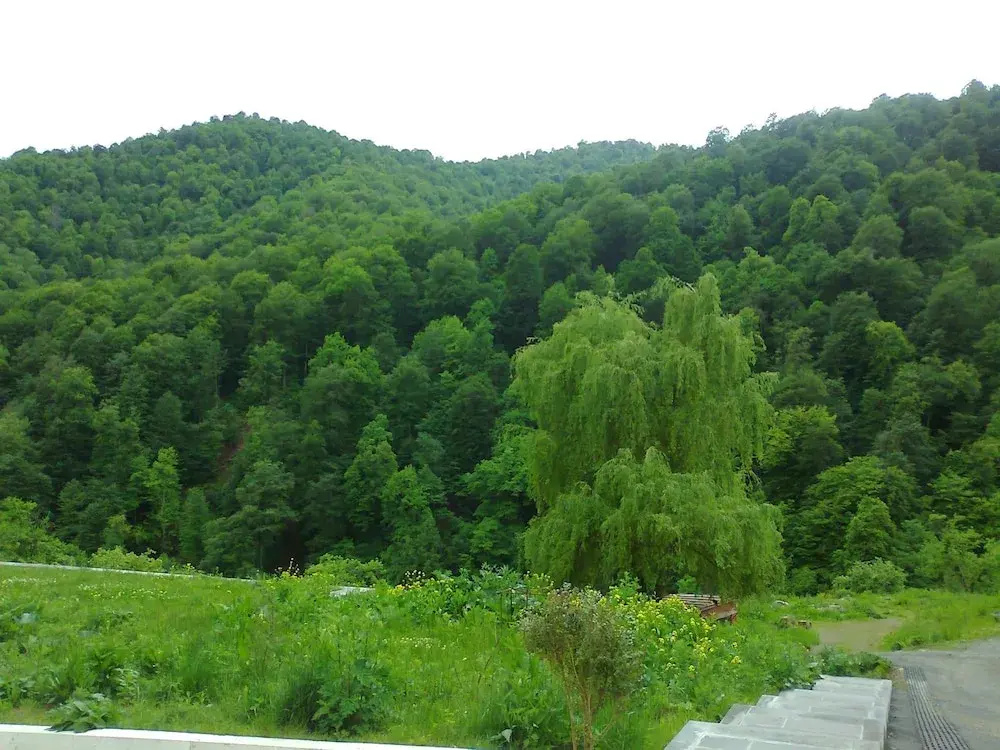 Rest House in Dilijan - фото 15
