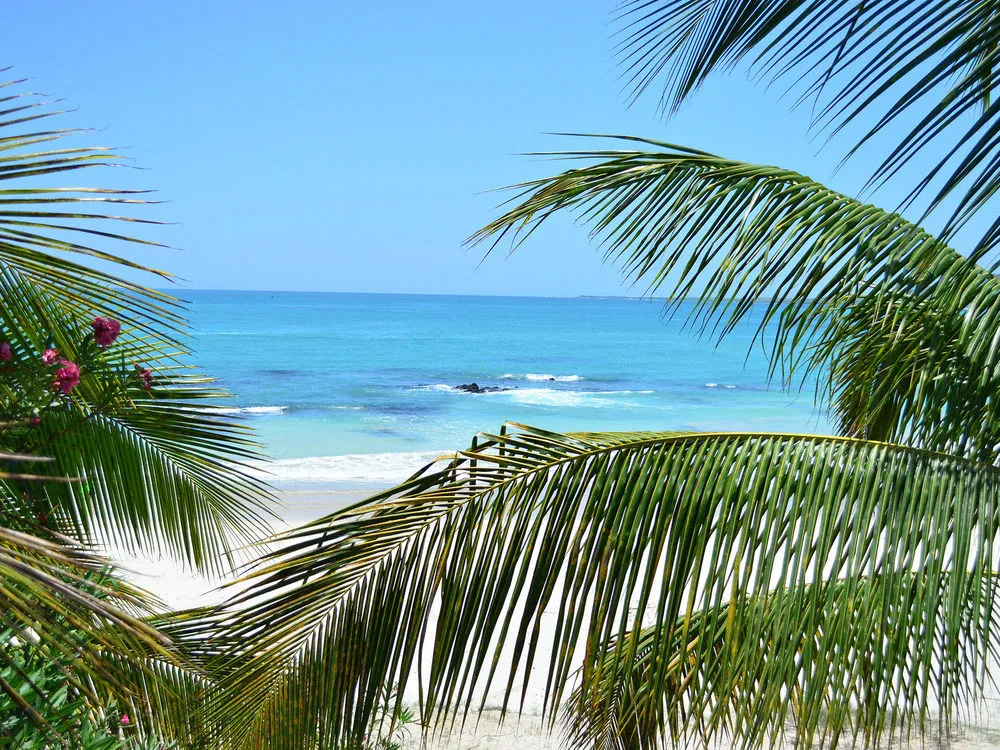 Beach & Waterfront