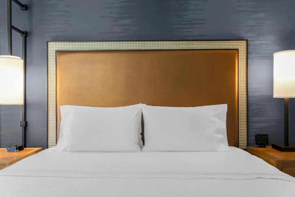 Hampton Inn & Suites Austin Downtown - Chambres