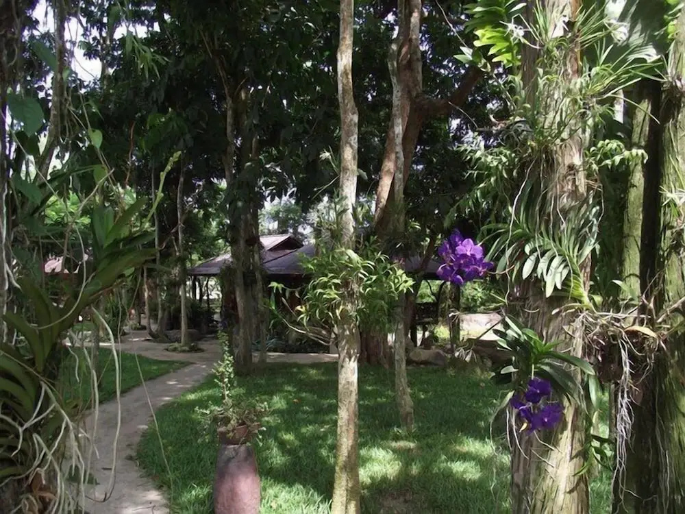 Lundaresort & Orchid - Chambres
