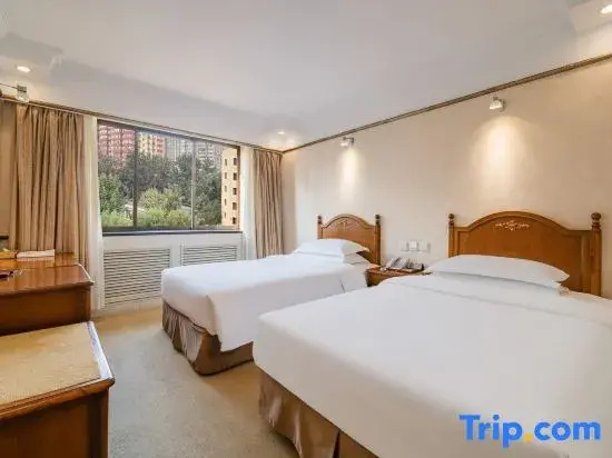 Deluxe Double room (twin beds)