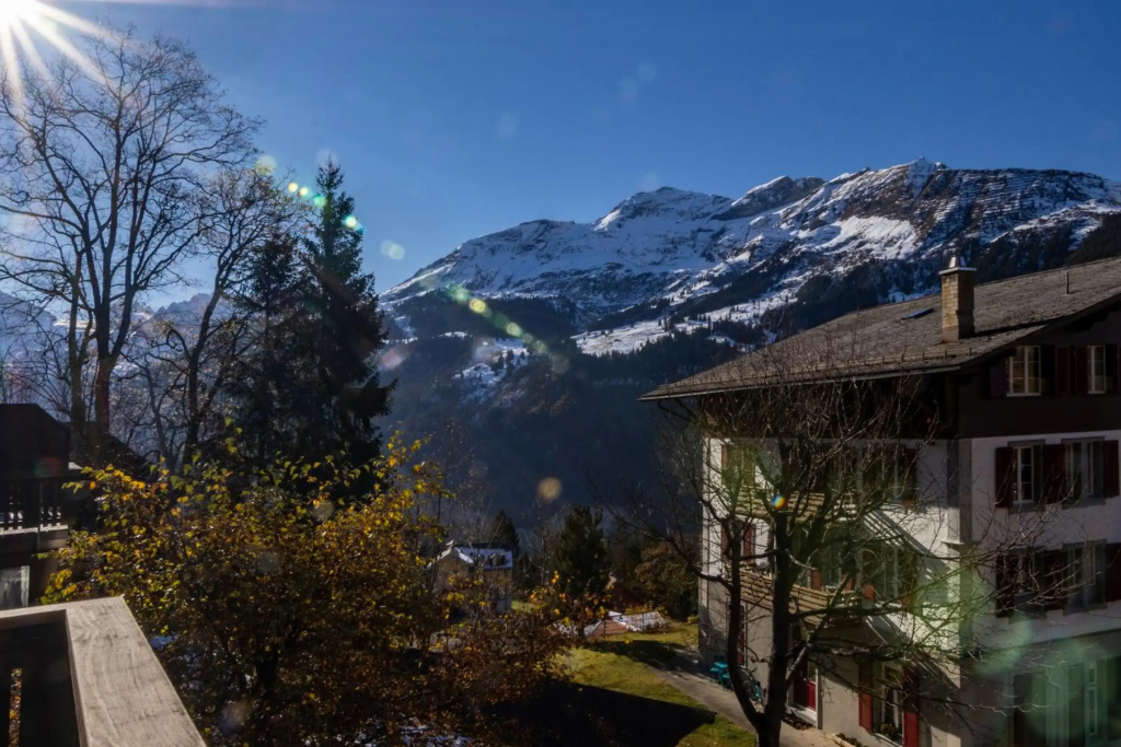 Chalet Schweizerhof