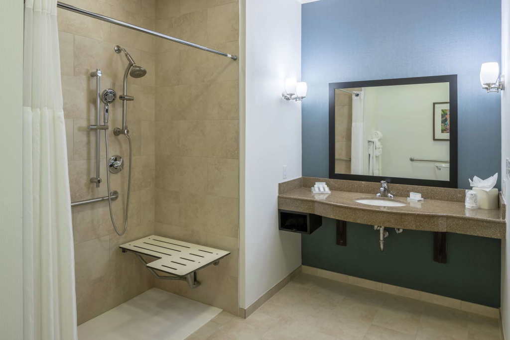 Hilton Garden Inn DFW North Grapevine - Général