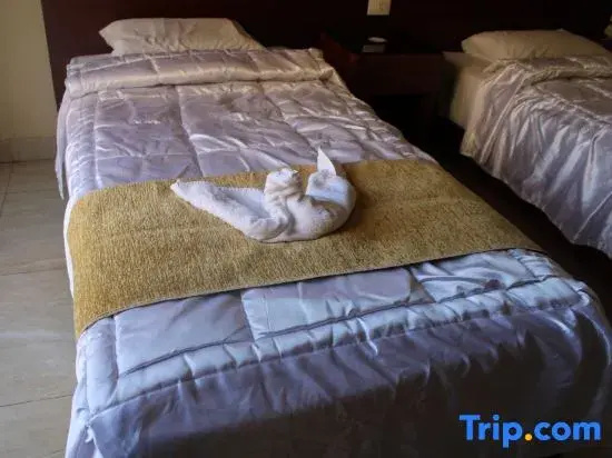 Deluxe Double room with city view (twin beds)