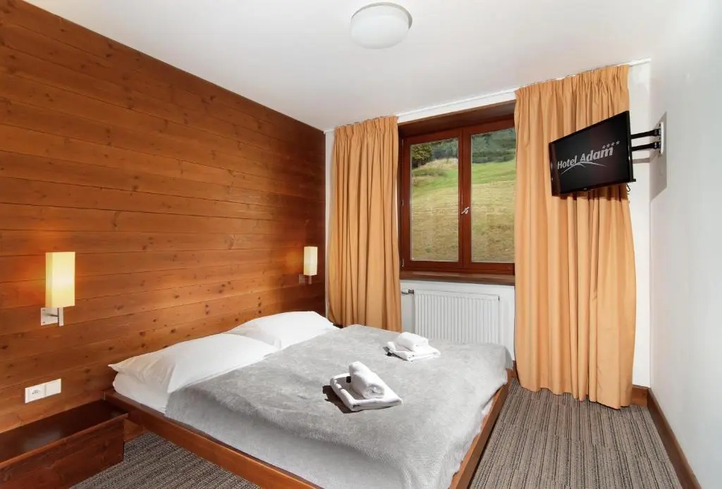 Standard Double room (full double bed)