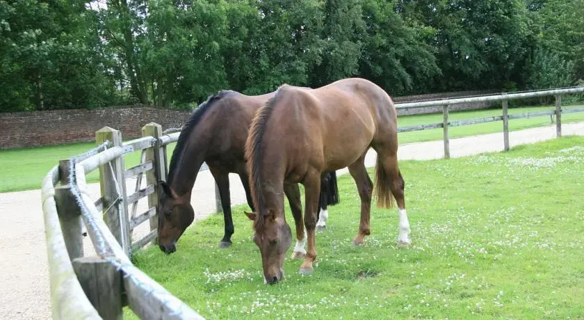 Hungry Bentley Barn Bed and Breakfast