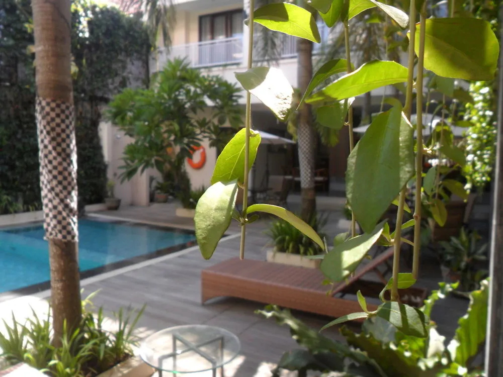 Hotel photo 21