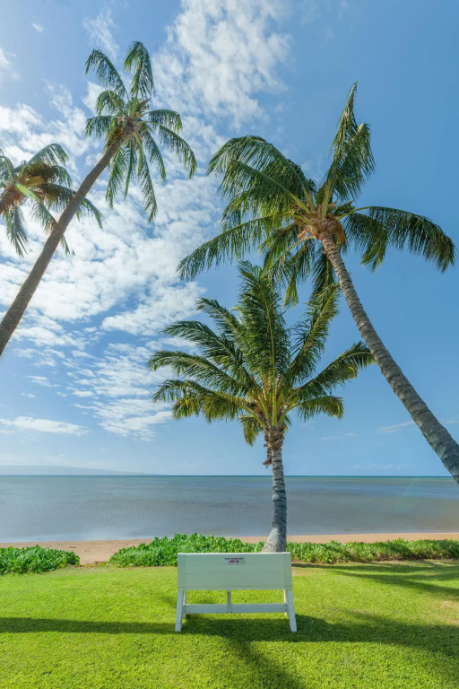 Molokai Shores - Général