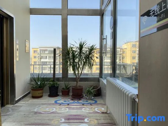 Balcony & Terrace