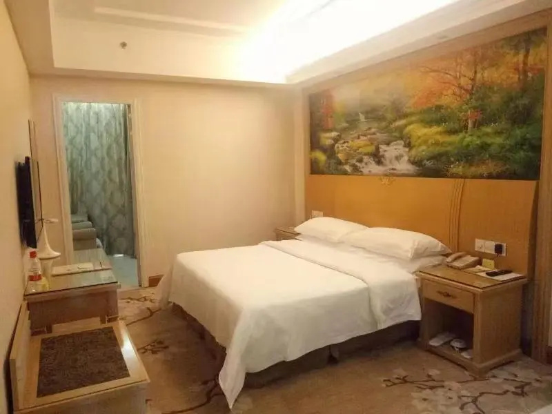 Vienna Hotel Guangdong Dongguan Tangxia South High-Speed Railway Station - Chambres