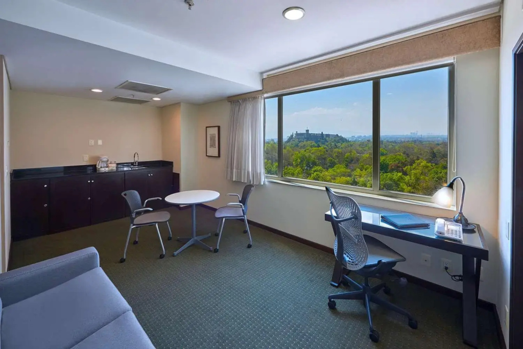 Hilton Garden Inn Mexico City Polanco - Général
