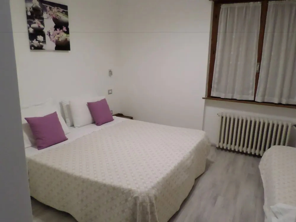 Standard Double room with lake view (full double bed)