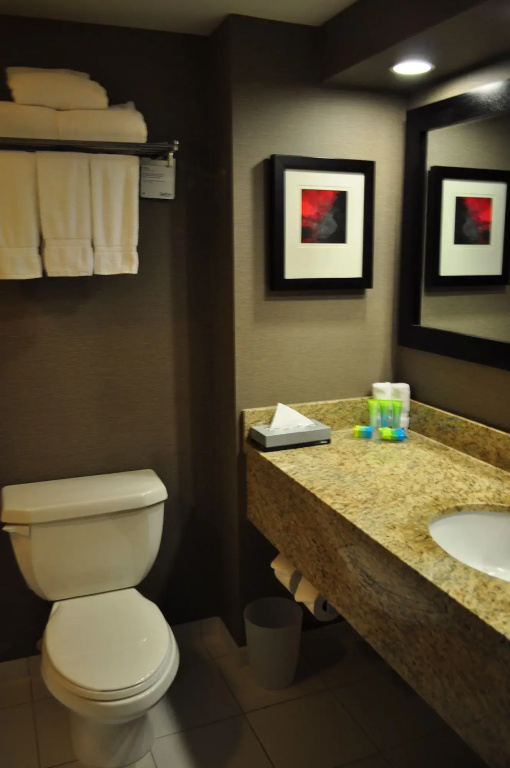 Radisson Hotel Vancouver Airport - Général