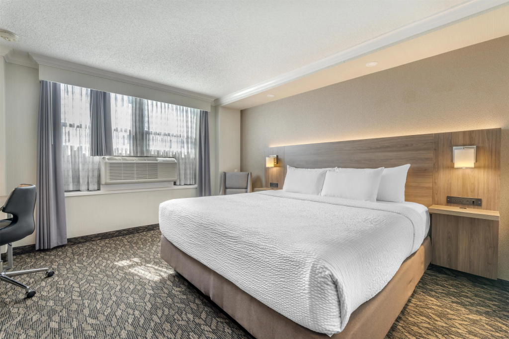 Best Western Plus Carlton Plaza Hotel - Général