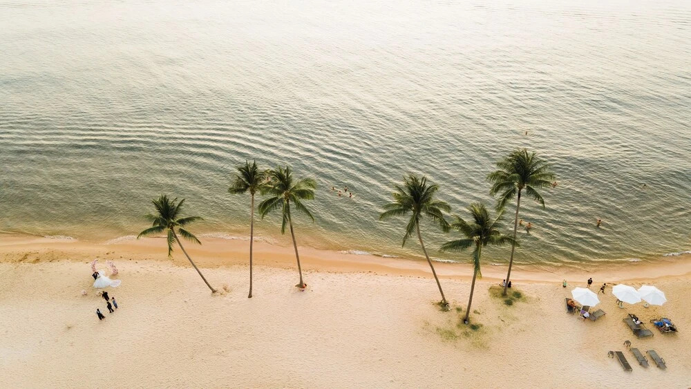 Beach & Waterfront