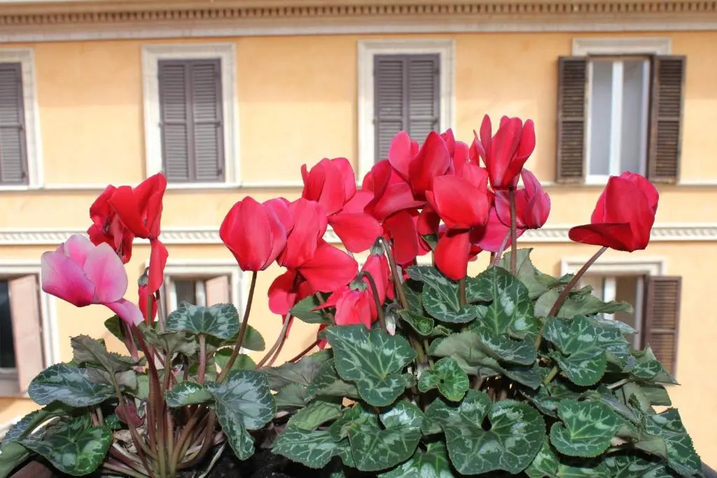 Hotel Garda - Chambres