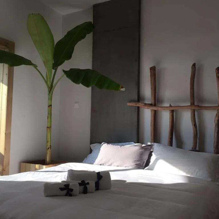 Jing Pu Plant Theme Hostel