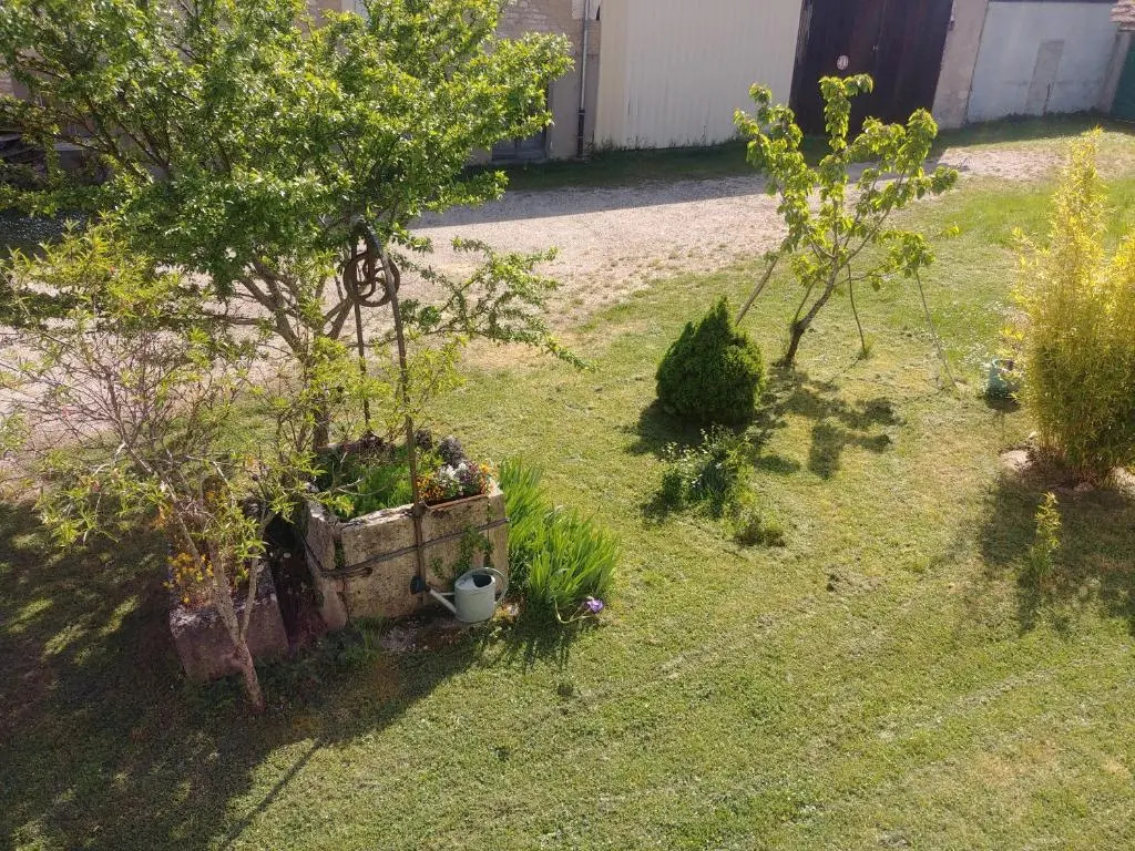 Voir la photo 2 — 2 chambres privées au calme à la Maison des Bambous