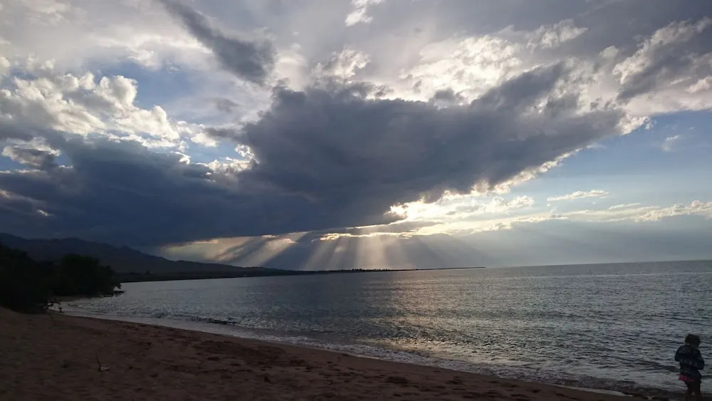 Family club Royal appricot - фото 11