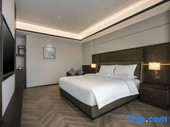 Comfort Suite