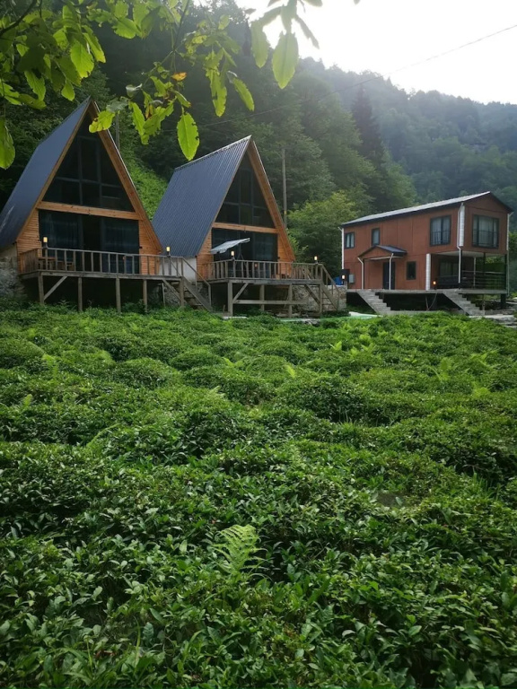 Mari̇posa Bungalov