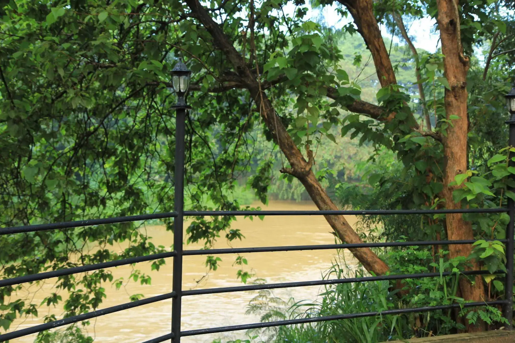 Dambulu Oya Family Park - Général
