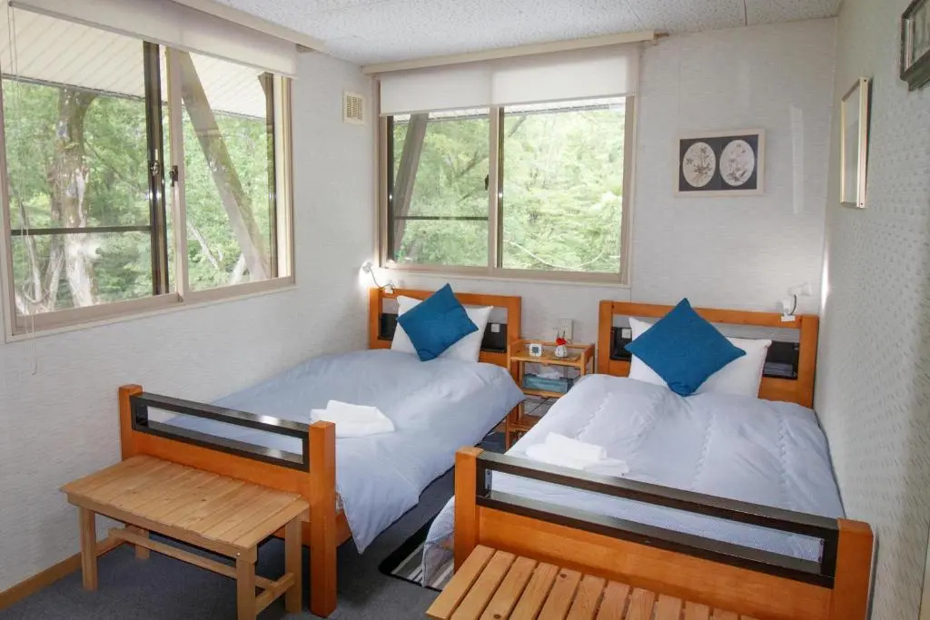 Deluxe Double room (twin beds)
