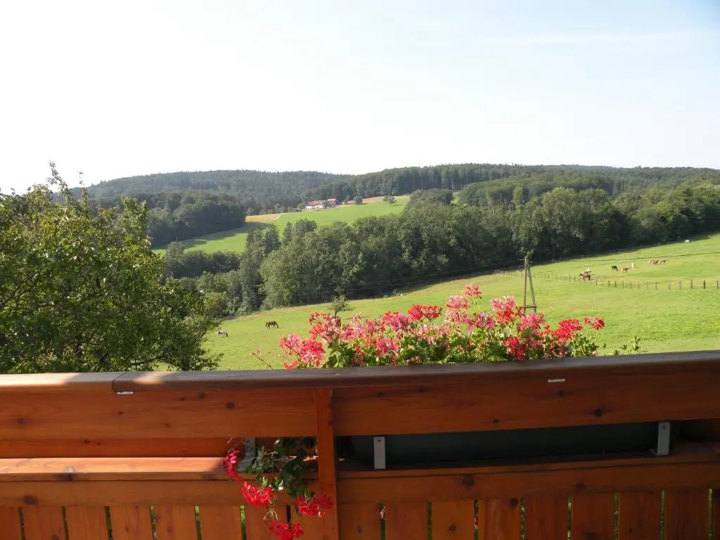 Family Apartment with balcony