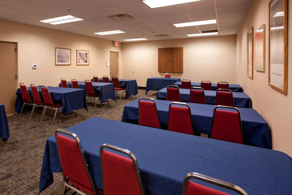 Comfort Inn & Suites Buffalo Airport - Général