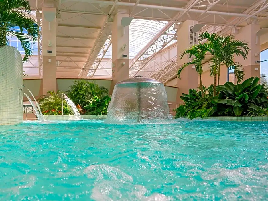 Lotus Therm SPA & Luxury Resort - Chambres