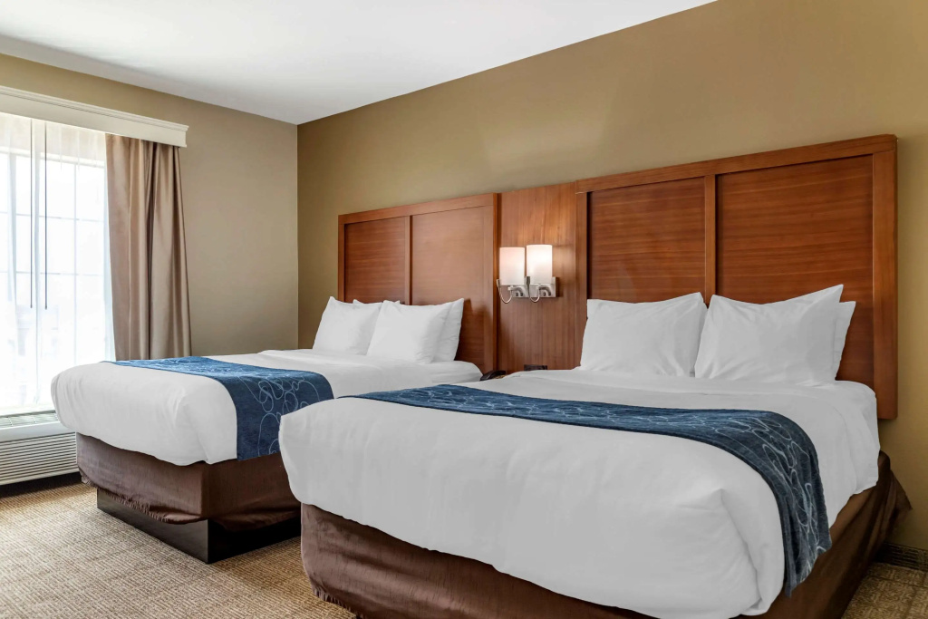 Quadruple Suite