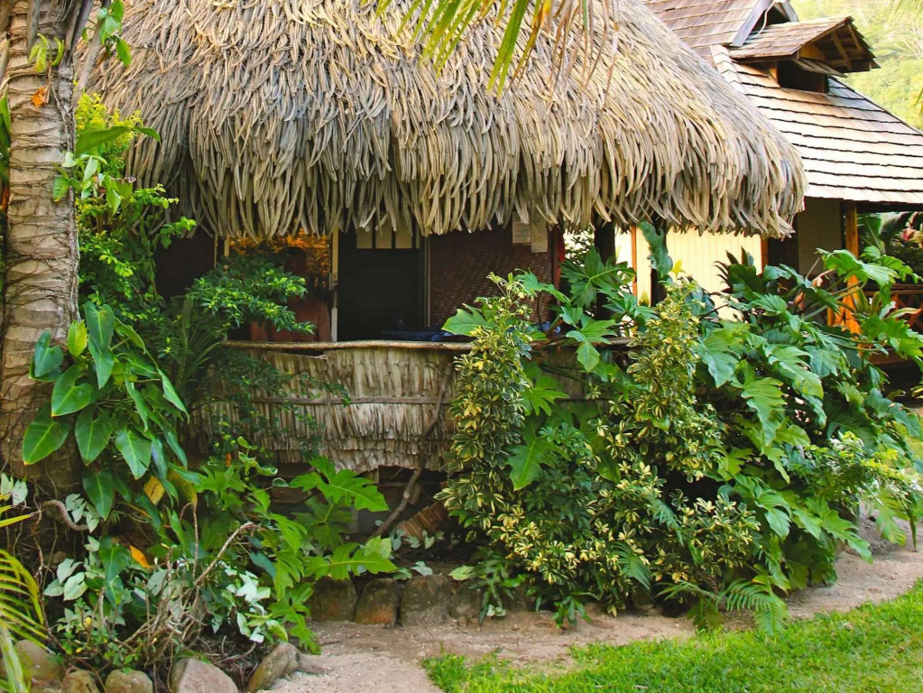 Bungalow with garden view