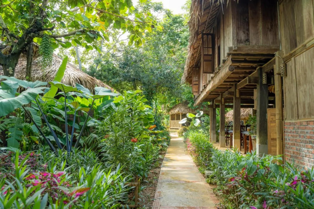 Puluong Home