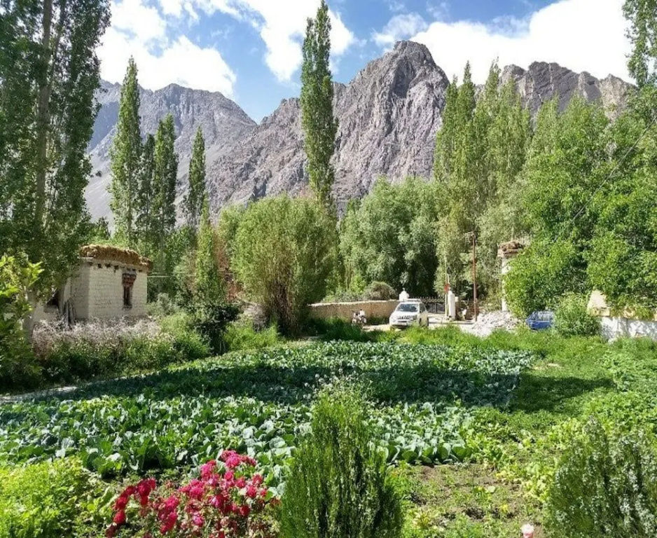 Yourdum Guest House