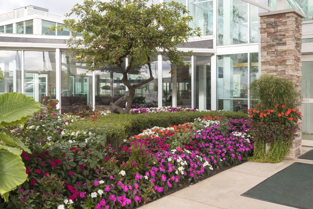 Holiday Inn Chicago - Elk Grove - Général