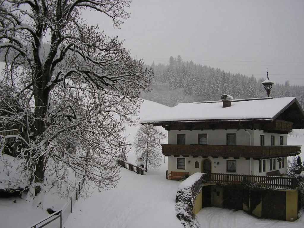 Steinerbauer