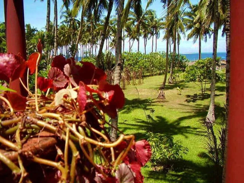 Beach & Waterfront