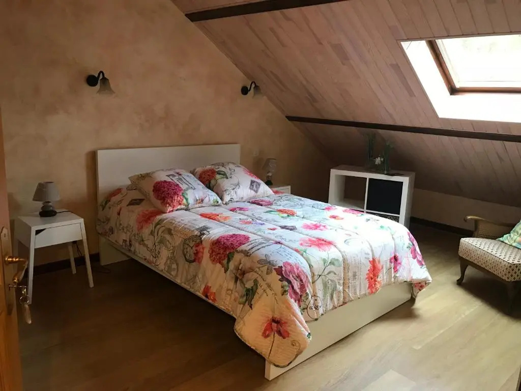Standard Double room (full double bed)