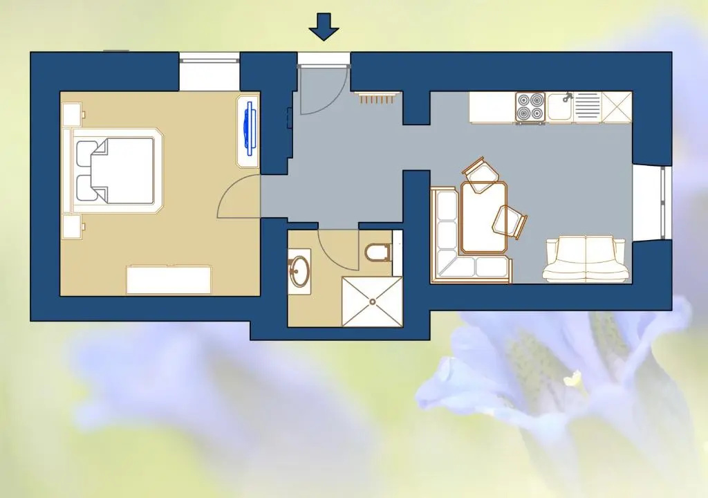 Basement Apartment
