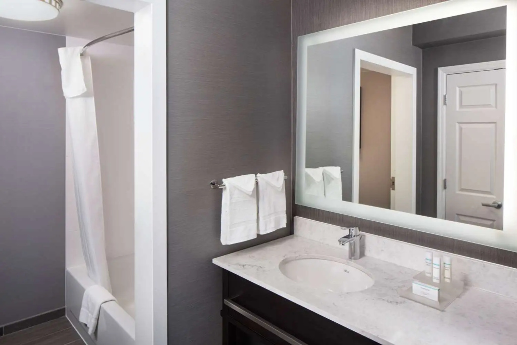 Homewood Suites by Hilton Atlanta Lenox Buckhead - Général