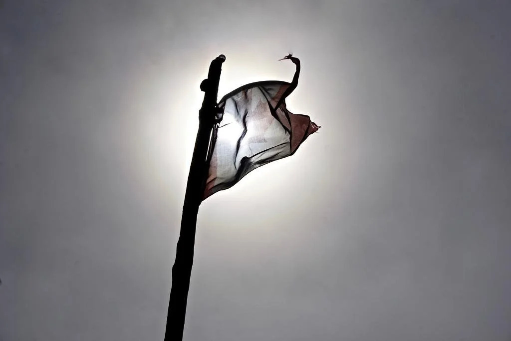 Kingfisher Lodge And Marina