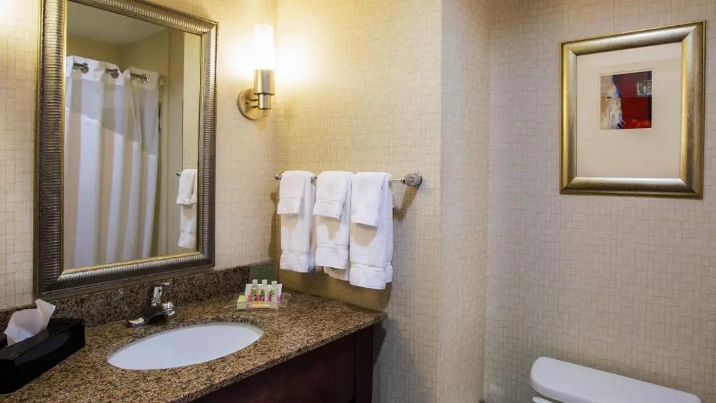 Holiday Inn Oklahoma City Airport by IHG - Chambres