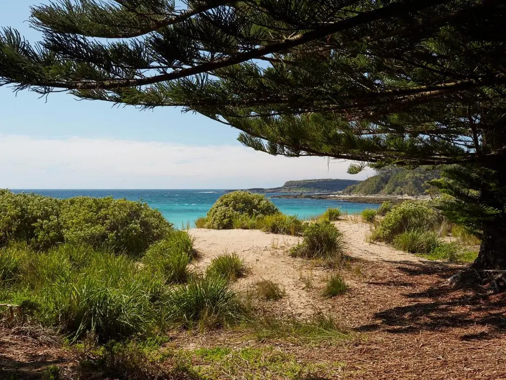 NRMA Murramarang Beachfront Holiday Resort - Général