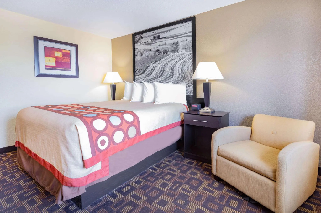 Standard Double room (full double bed)