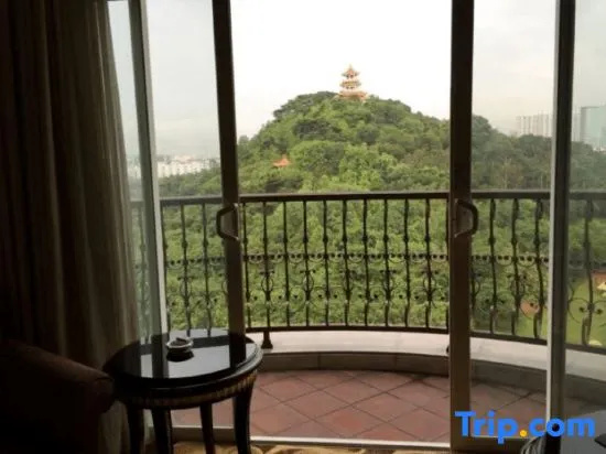 Balcony & Terrace