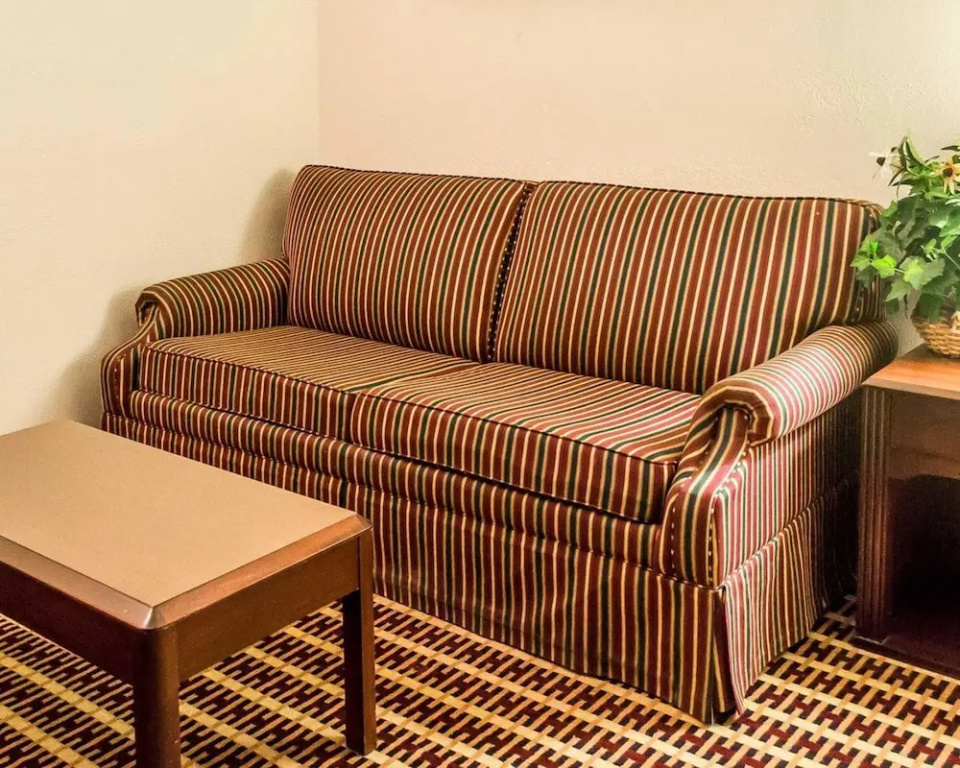 Econo Lodge Inn & Suites - фото 12