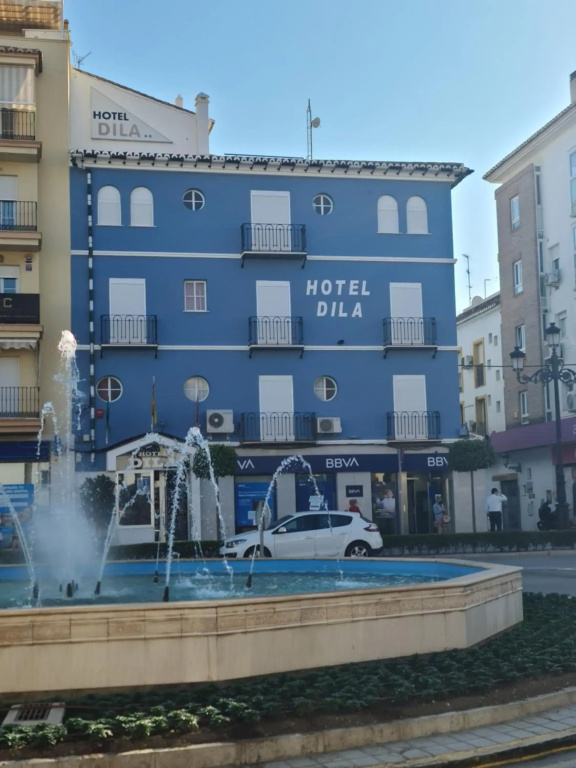 Hotel Dila - фото 13